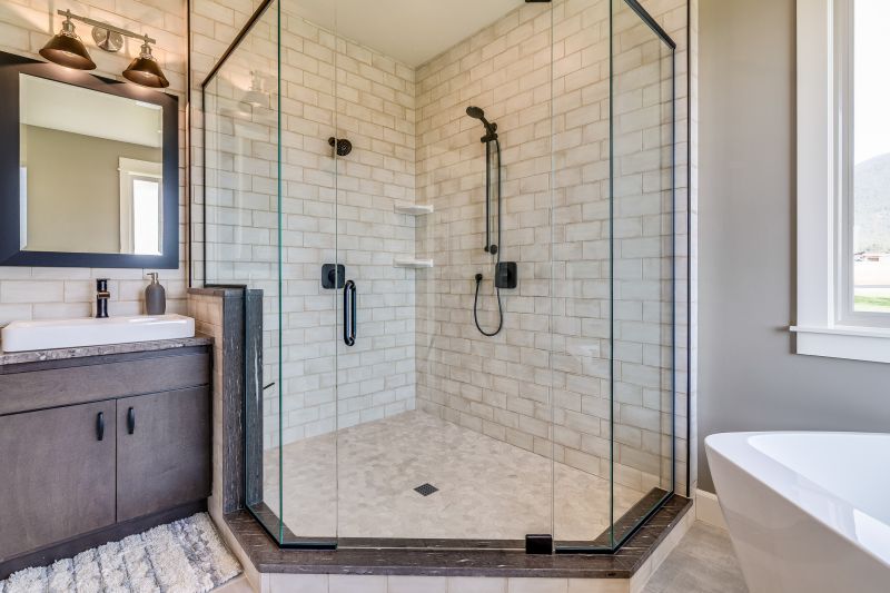 Modern Shower Enclosure with Frameless Glass